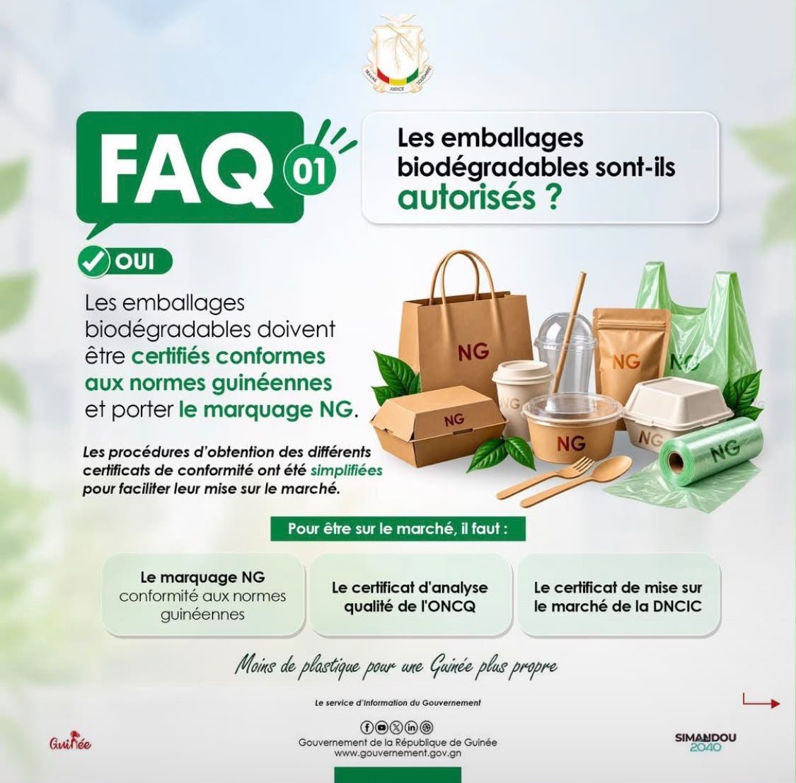 Support d’information du Gouvernement de la République de Guinée.